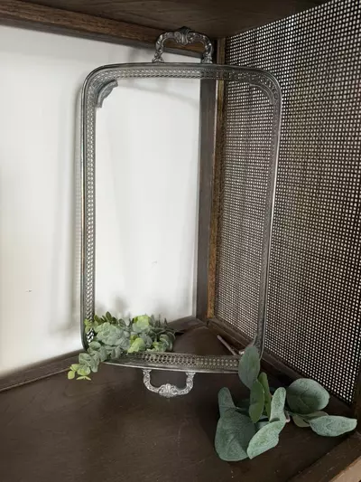 plant/Silver baking dish tray-3-thumbnail