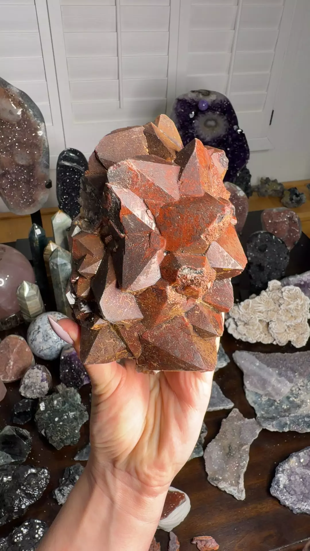 plant/red hematite over amethyst-0