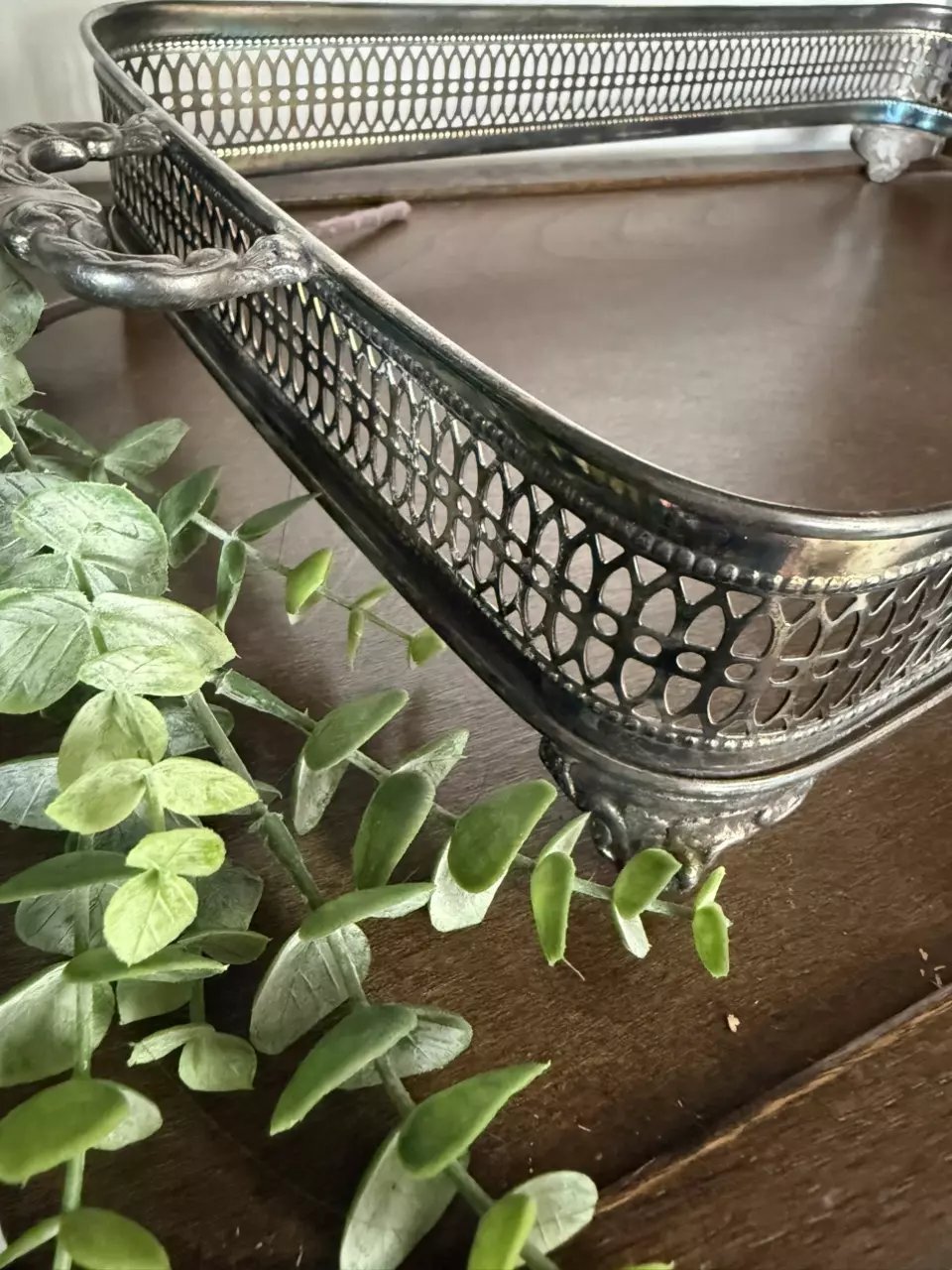 plant/Silver baking dish tray-0