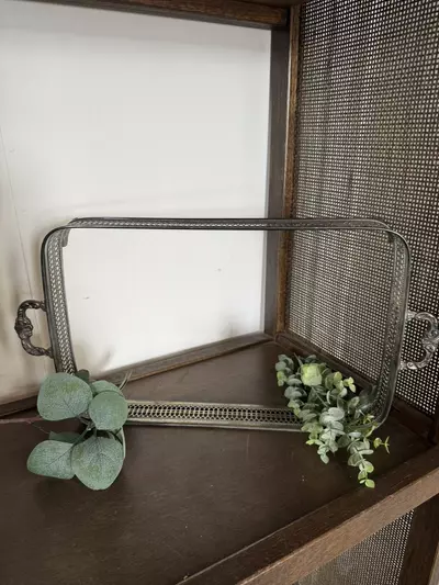 plant/Silver baking dish tray-2-thumbnail