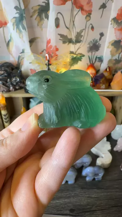 plant/$20 | Green Fluorite Bunny-0-thumbnail