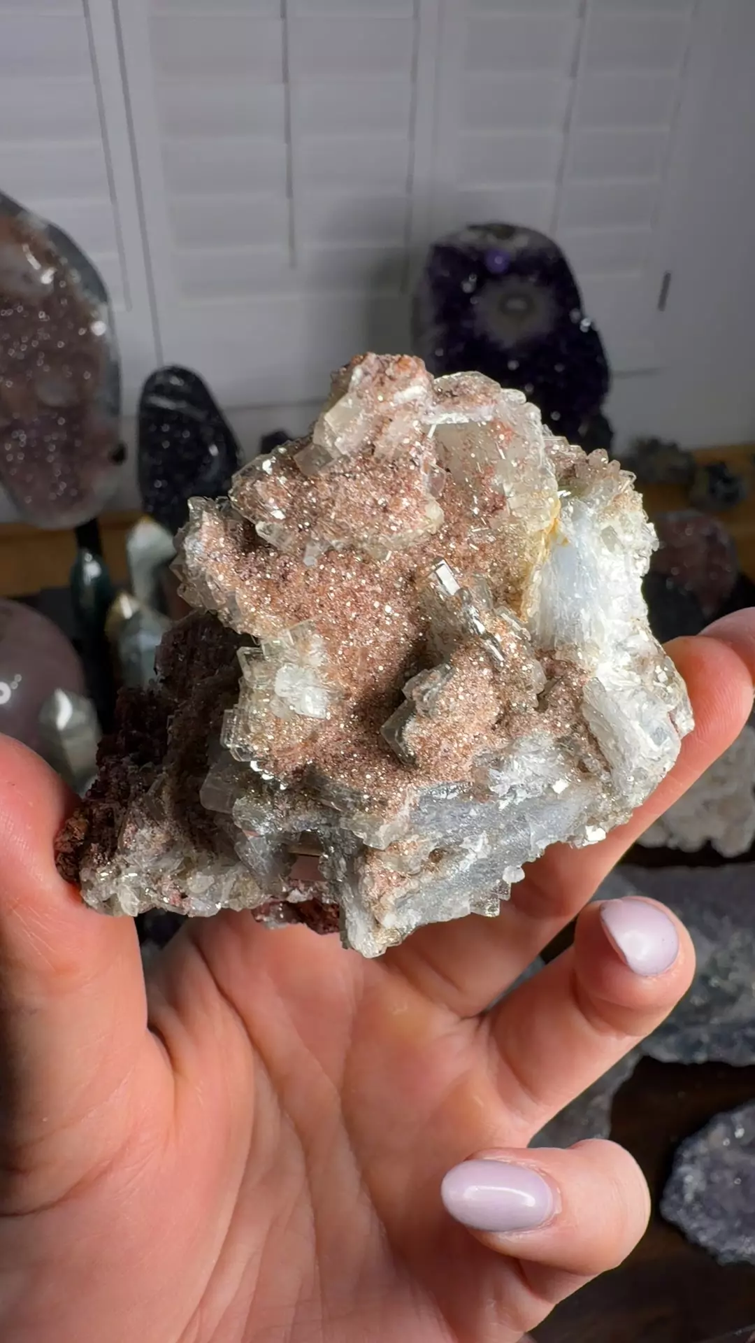 plant/barite , calcite ,pyrite & calcite-0