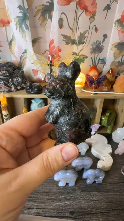 plant/$28 | Garnet Rabbit-0-thumbnail