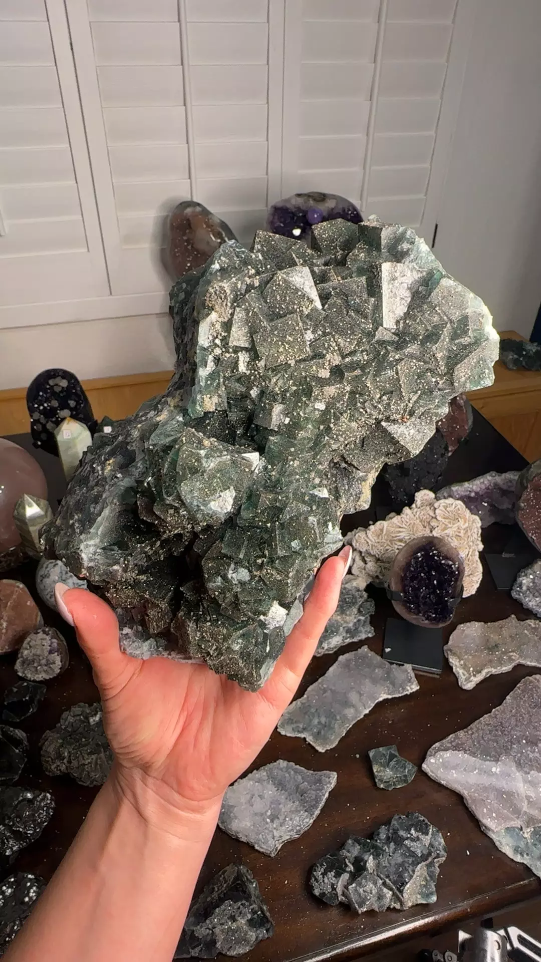 plant/Nigerian fluorite uv & daylight reactive-0