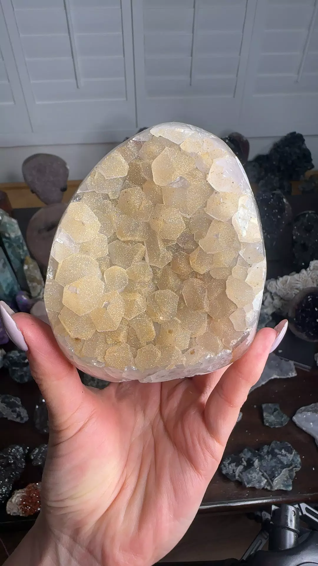 plant/sugar amethyst-0