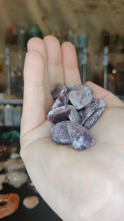 plant/Maine Lepidolite Tumbles or Cabs Old Stock-0-thumbnail