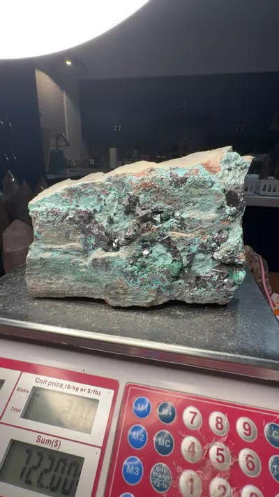 plant/cuprite xl-0-thumbnail