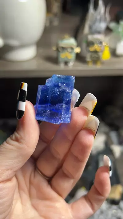 plant/blue halite-0-thumbnail