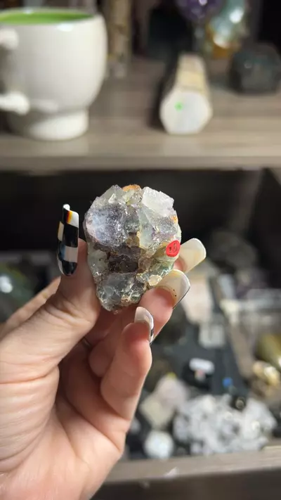 plant/Okorusu Fluorite-0-thumbnail