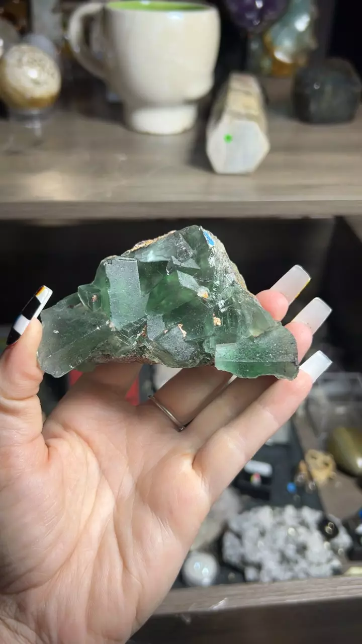 plant/Erongo fluorite-0