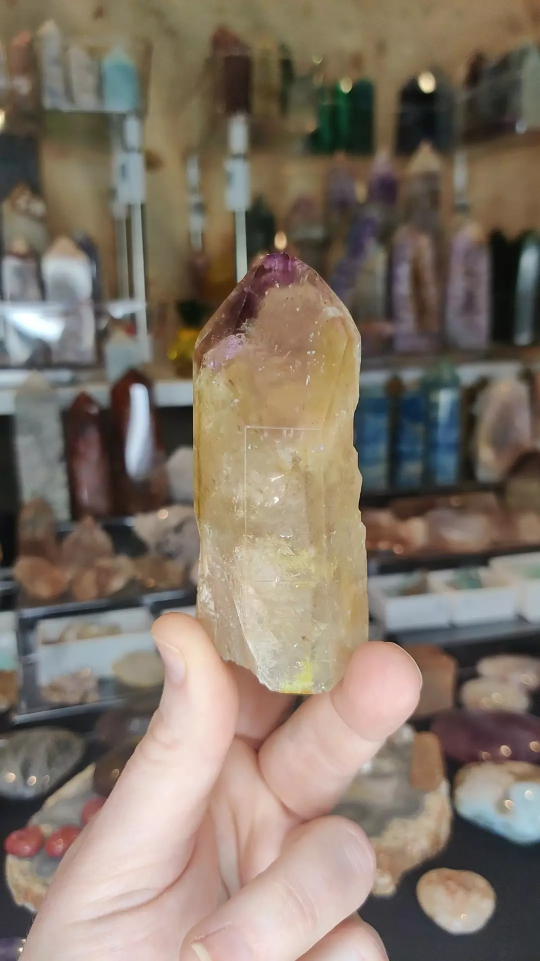 plant/Dreamcoat Amethyst Half Polish Tower (r) Rainbows, schiller-0