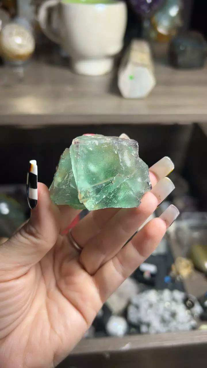 plant/Erongo Fluorite-0