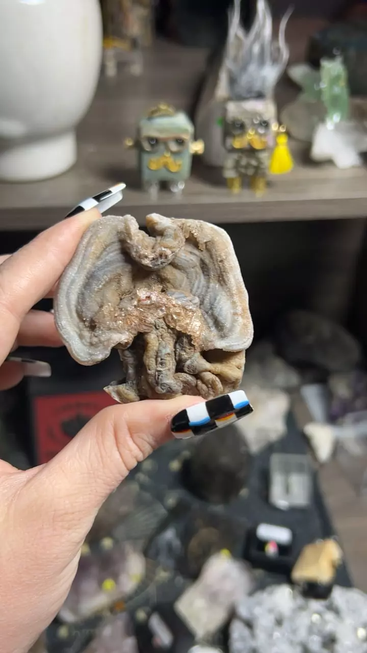 plant/Blue Chalcedony-0