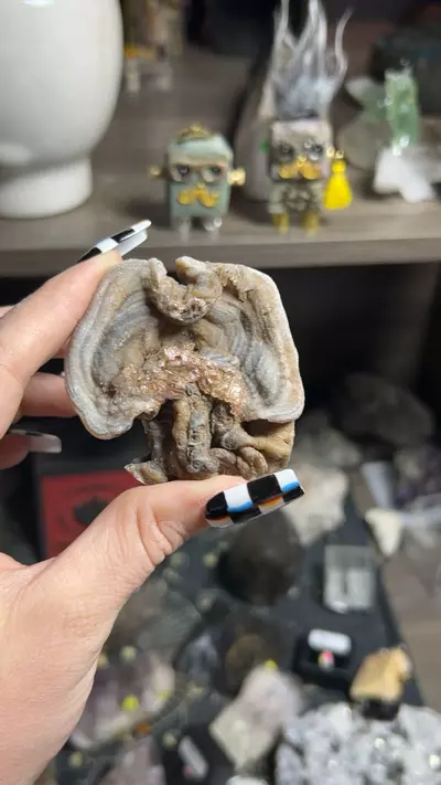 plant/Blue Chalcedony-0-thumbnail