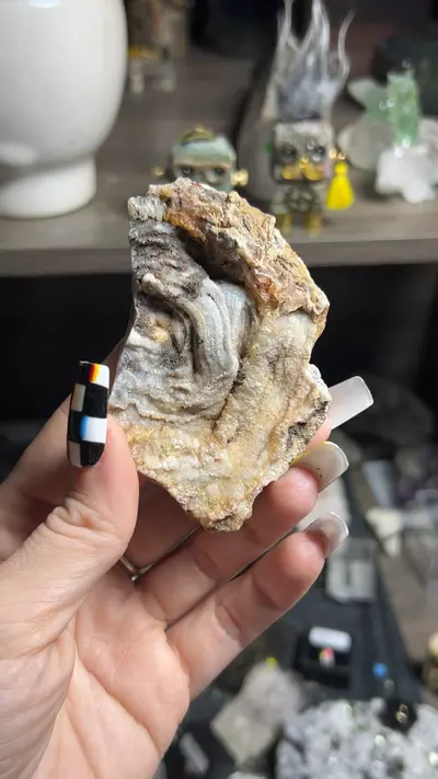 plant/Blue Chalcedony-0-thumbnail