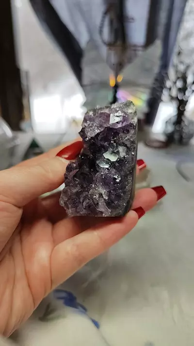plant/amethyst cluster-0-thumbnail