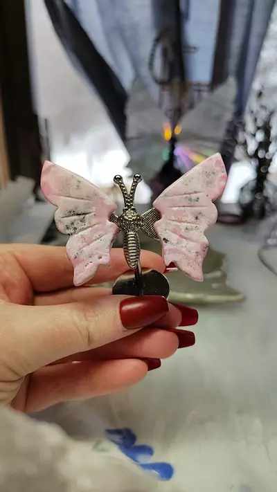 plant/pink opal butterfly-0-thumbnail