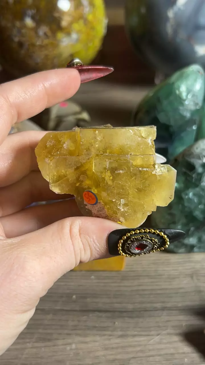 plant/Beijing Fluorite-0