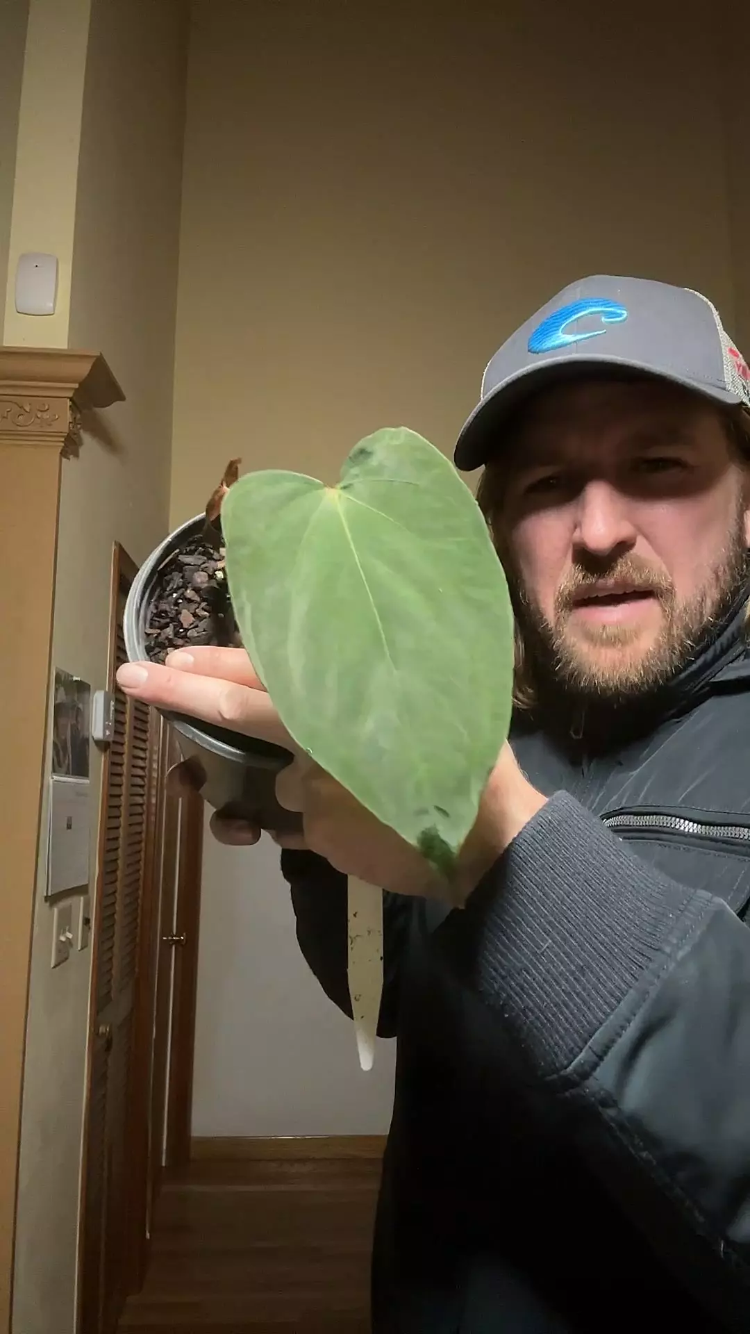 plant/[548] species nova df offset-0