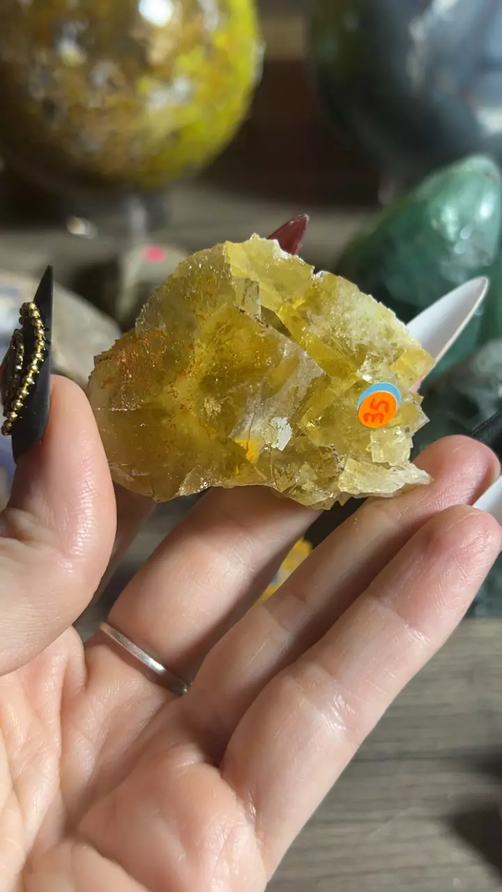 plant/Beijing Fluorite-0