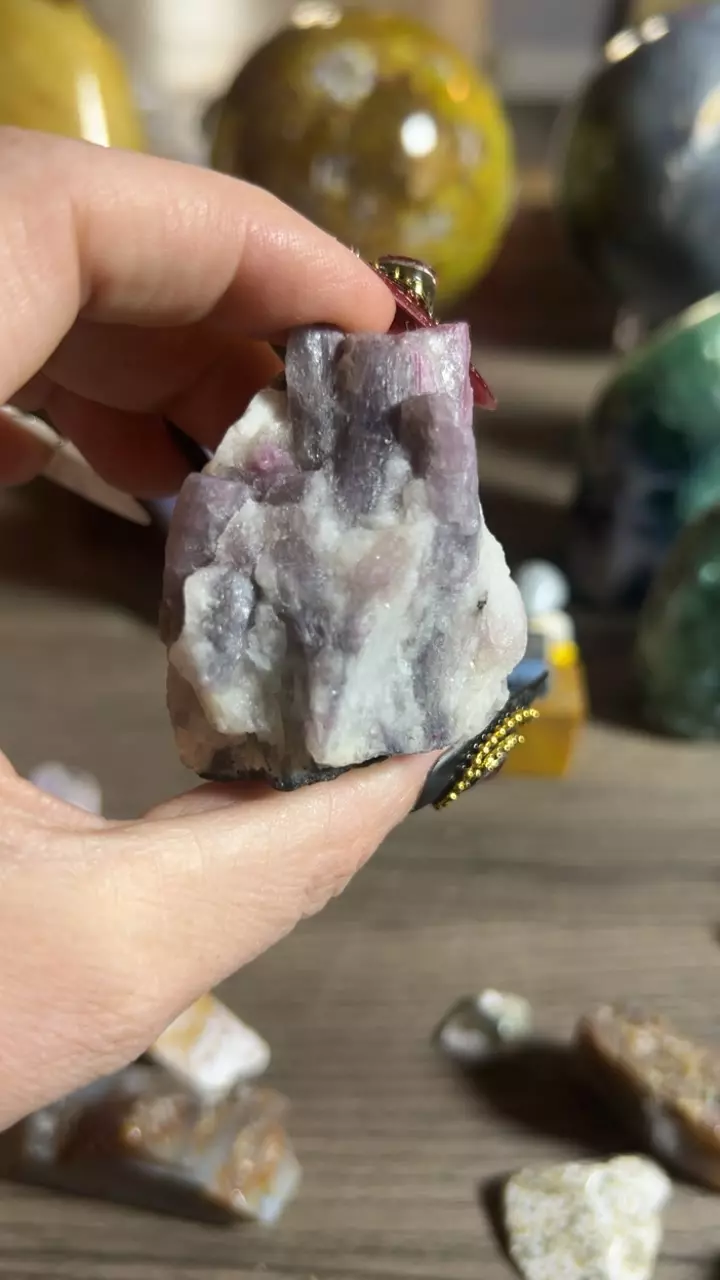 plant/Tourmaline and Quartz-0