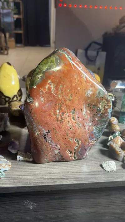 plant/OJ Freeform-0-thumbnail