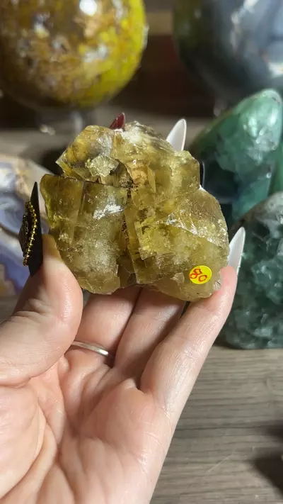 plant/Beijing Fluorite-0-thumbnail