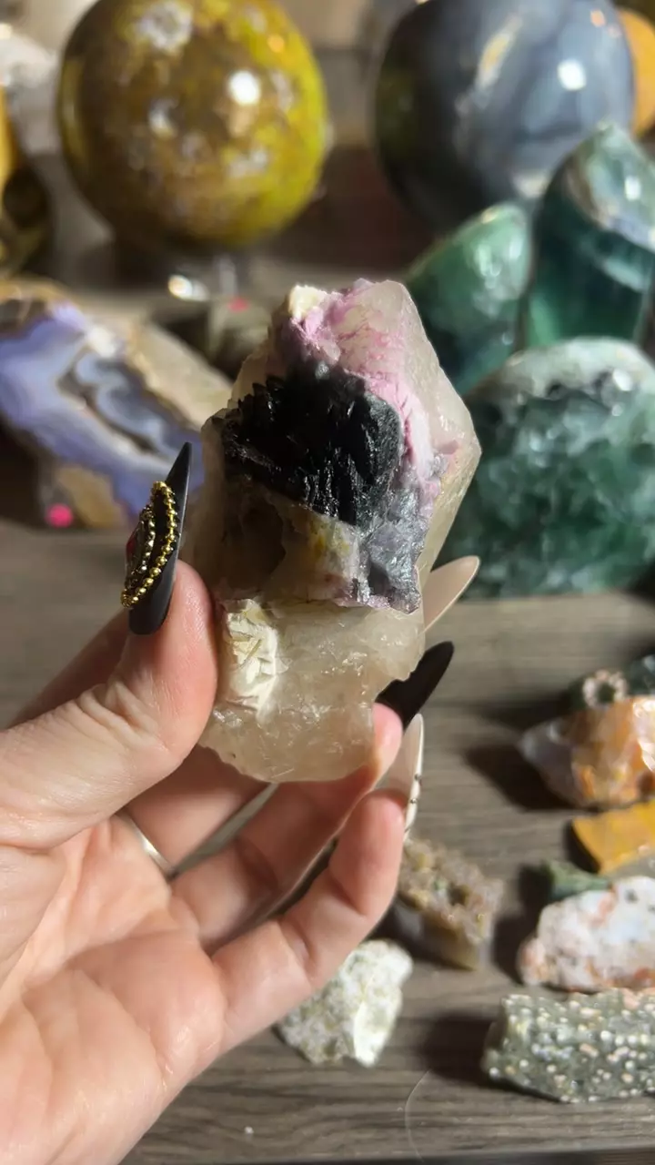 plant/Tourmaline and Quartz-0