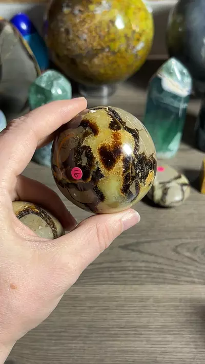 plant/Septarian Sphere-0-thumbnail
