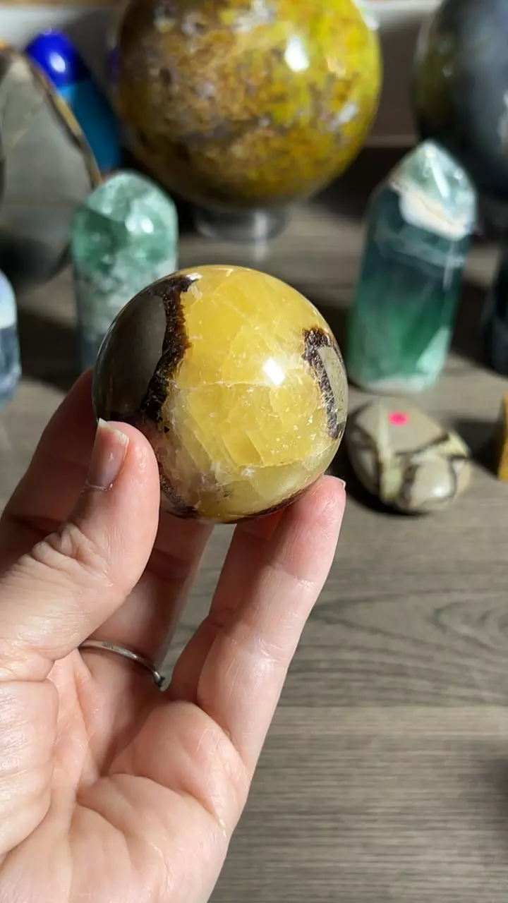 plant/Septarian Sphere-0