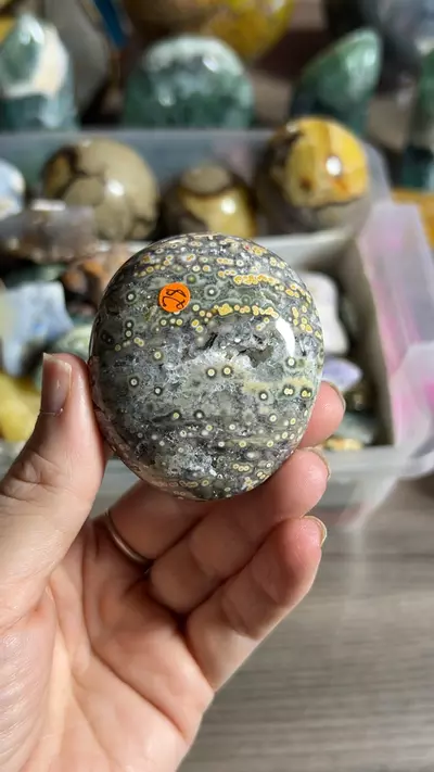 plant/2nd Vein OJ Palm-0-thumbnail