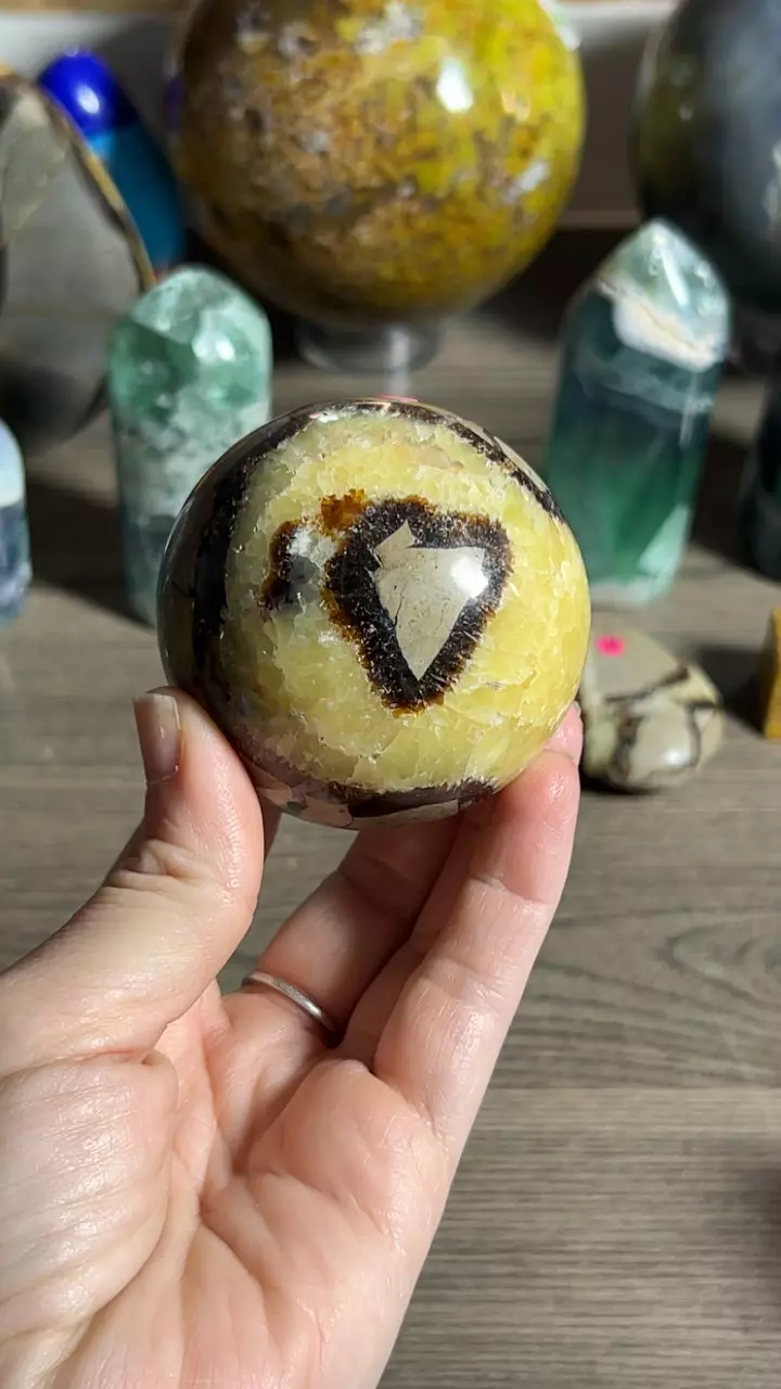 plant/Septarian Sphere-0