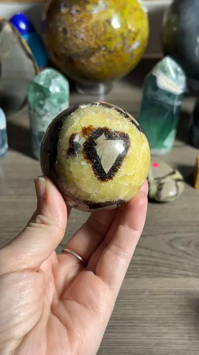 plant/Septarian Sphere-0-thumbnail