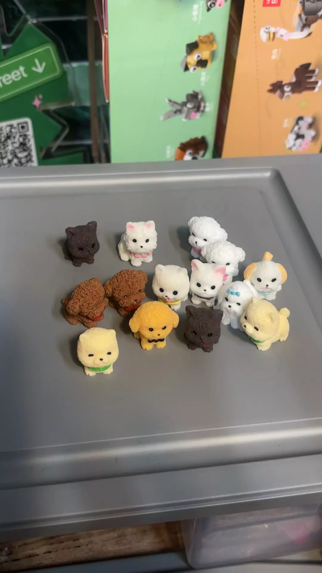 plant/you pick puppy-0