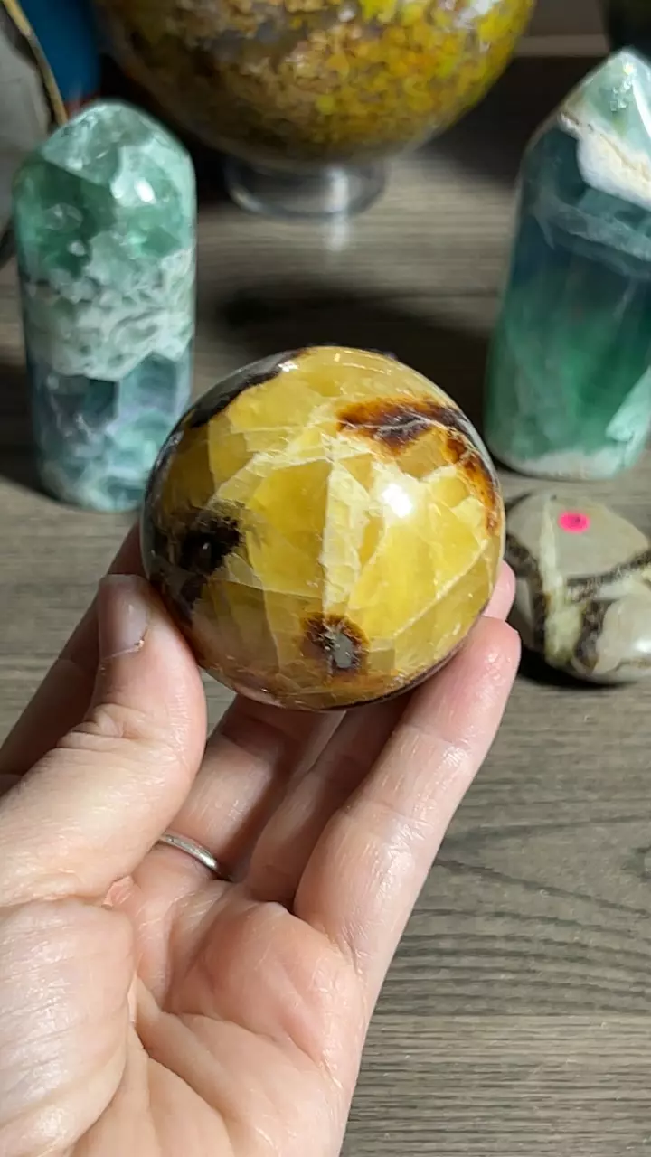 plant/Septarian Sphere-0