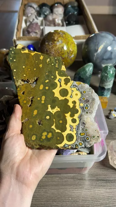 plant/Kabamby OJ Slab-0-thumbnail