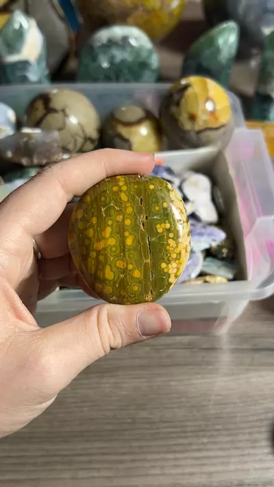 plant/Kabamby OJ Palm-0-thumbnail