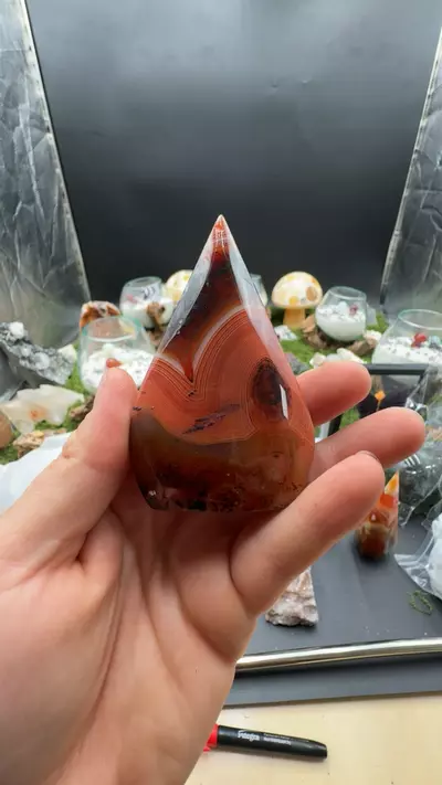 plant/lace agate shape-0-thumbnail