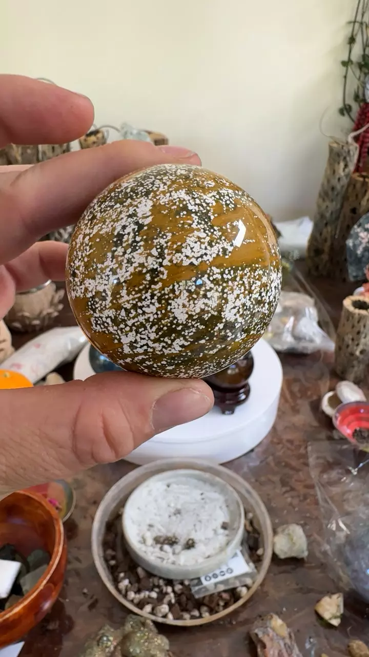 plant/ocean Jasper-0