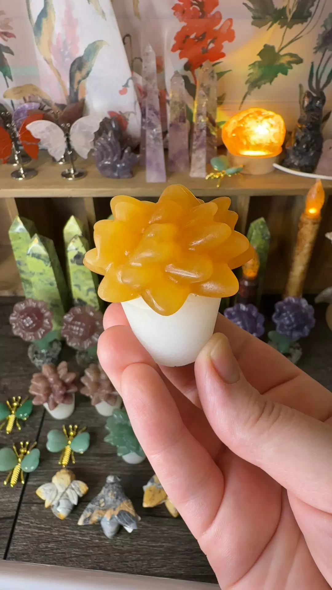 plant/$22 | Yellow Calcite Succulent Pot-0