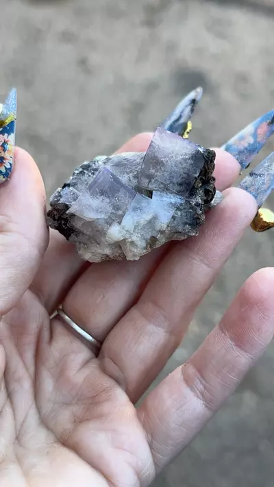 plant/UK Fluorite-0-thumbnail