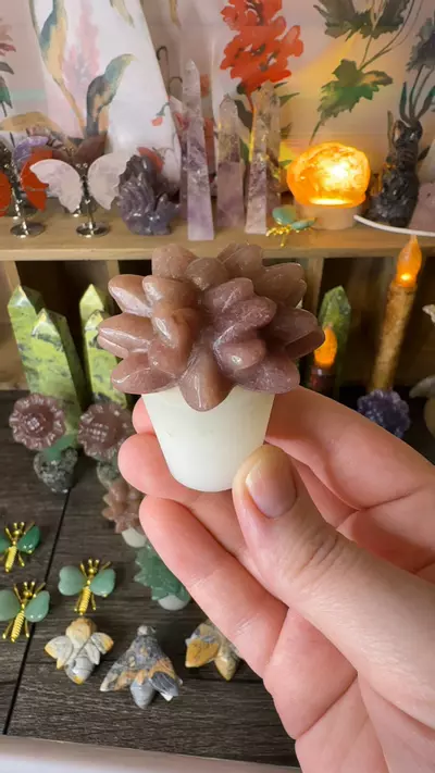 plant/$22 | Strawberry Quartz Succulent Pot-0-thumbnail