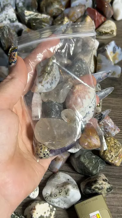 plant/Savannah Mini Scoop-0-thumbnail