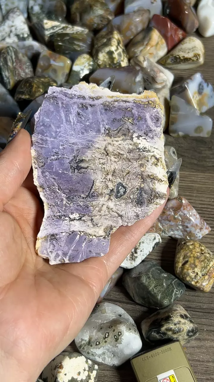 plant/Tiffany Stone Slab-0