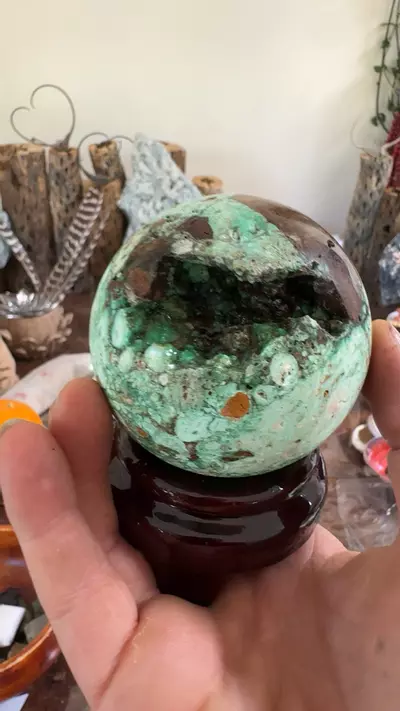 plant/sphere with cavity-0-thumbnail