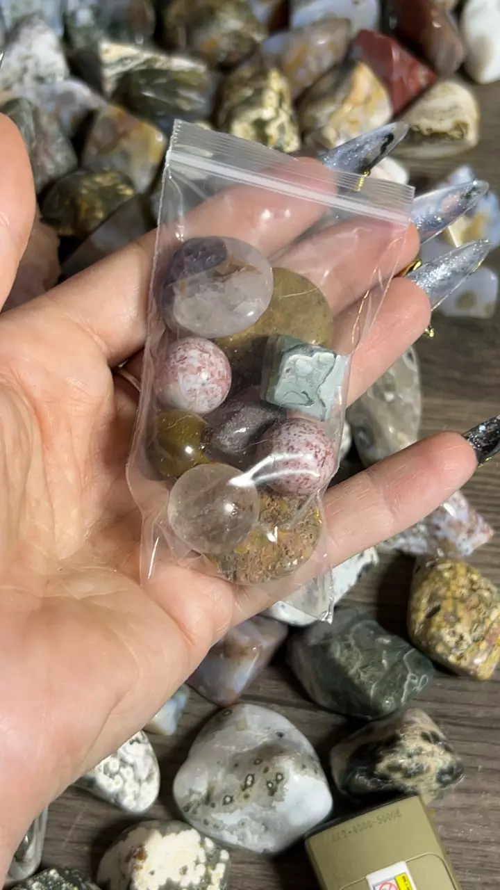 plant/Savannah Mini Mini Scoop-0