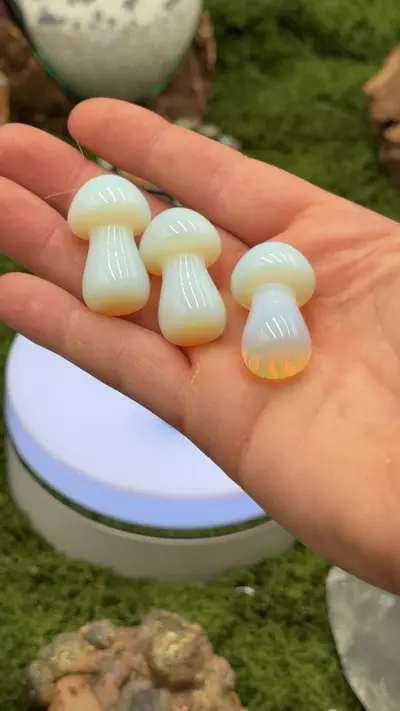 plant/moonstone mushrooms-0-thumbnail
