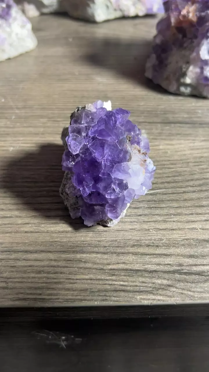 plant/Fluorite from Berbes Mine, Spain-0