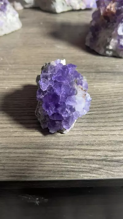 plant/Fluorite from Berbes Mine, Spain-0-thumbnail