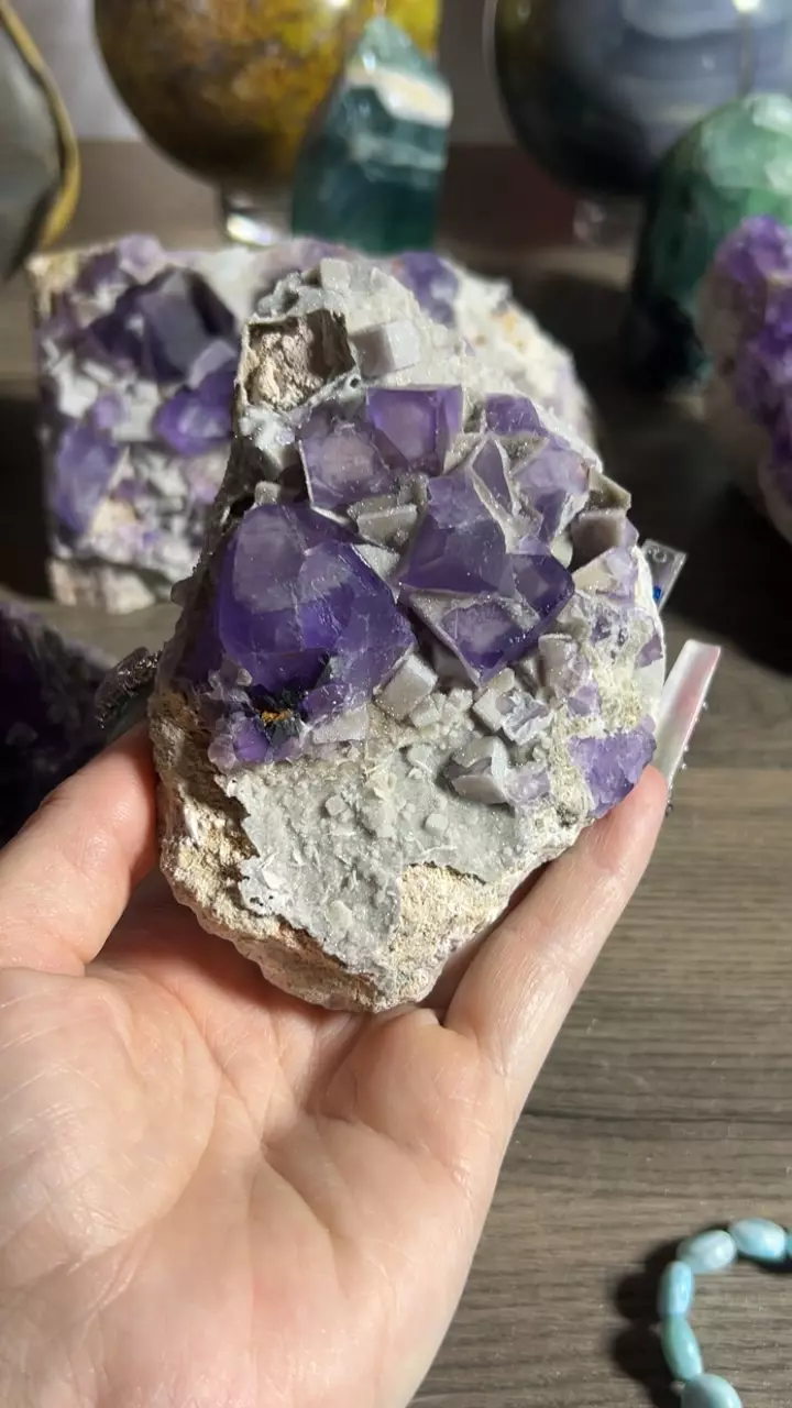 plant/Fluorite from Berbes Mine, Spain-0